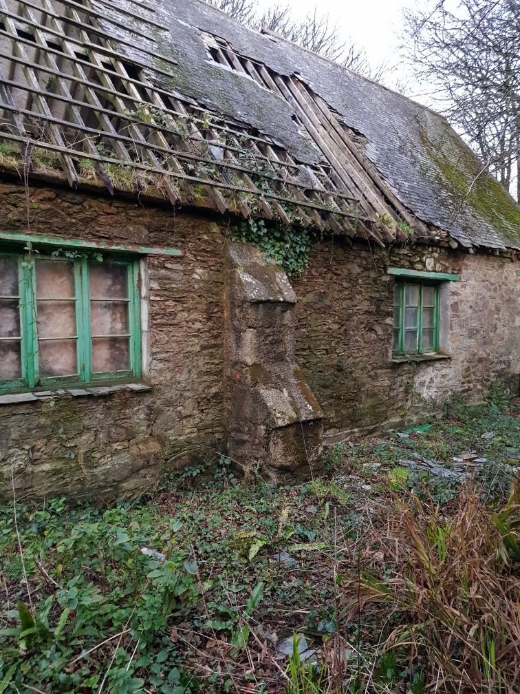 Side wall of the building before restoration, with a sagging roof and overgrown ground